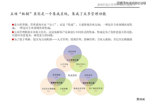 新組織設(shè)計(jì)管理咨詢項(xiàng)目策劃與公關(guān)服務(wù)建議書